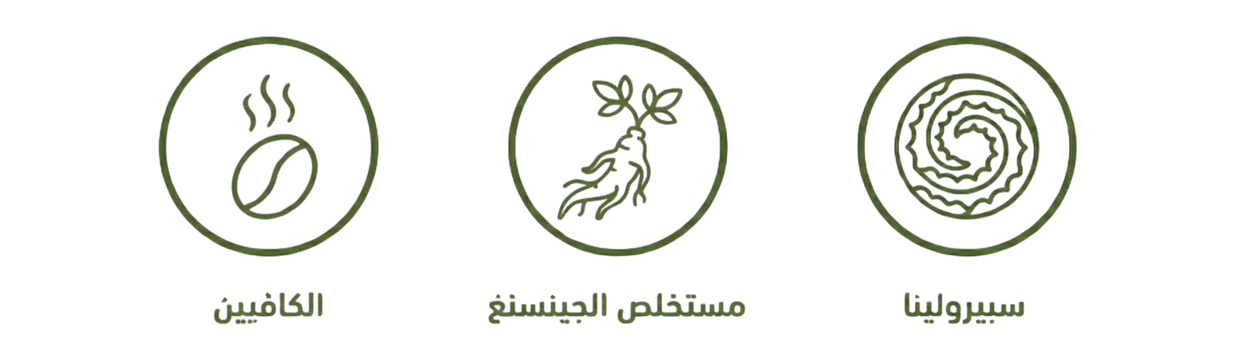 المكونات الأساسية