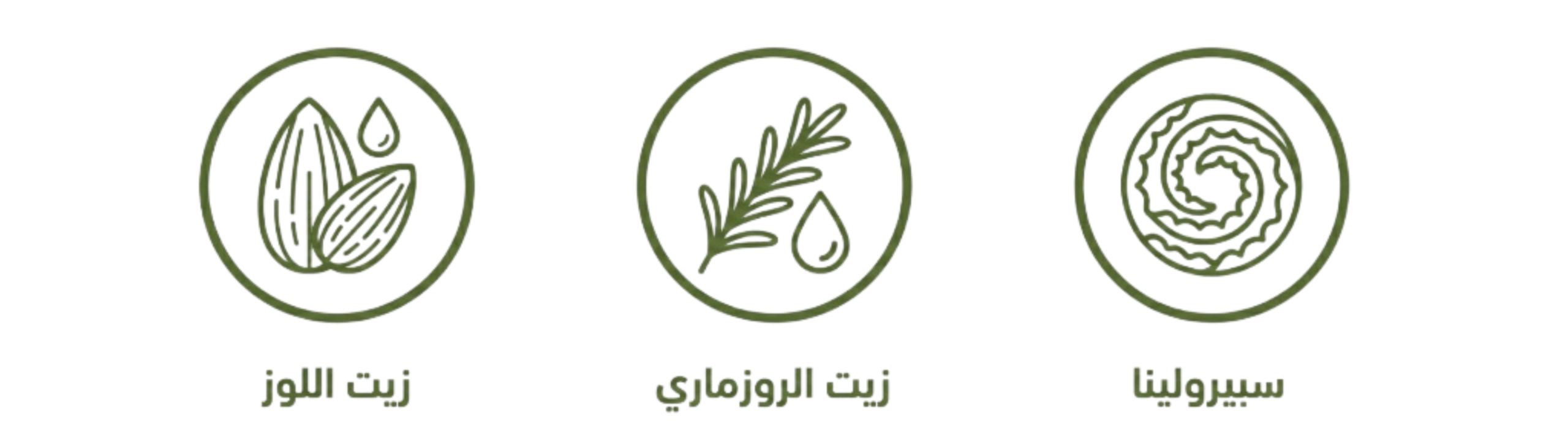 المكونات الأساسية