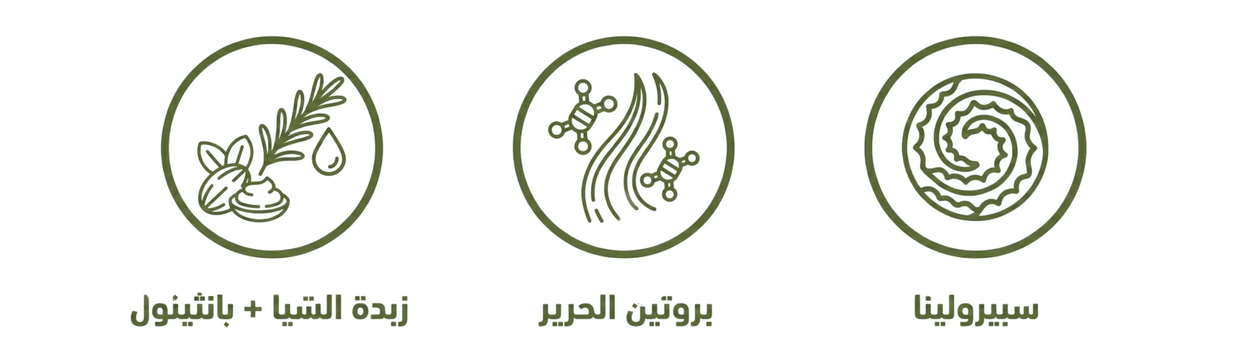 المكونات الأساسية